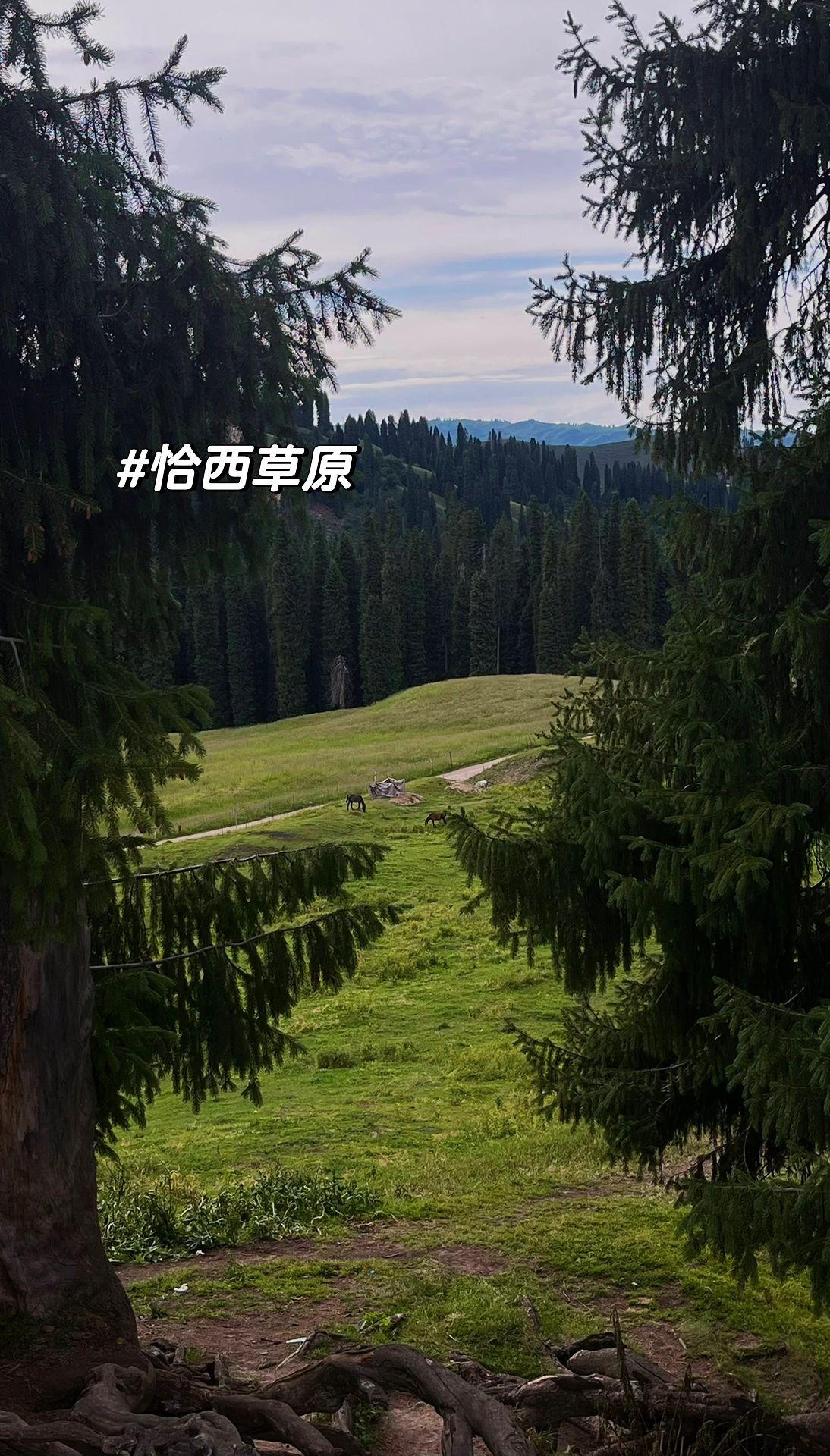 北疆-南疆自驾最全路线，不走回头路