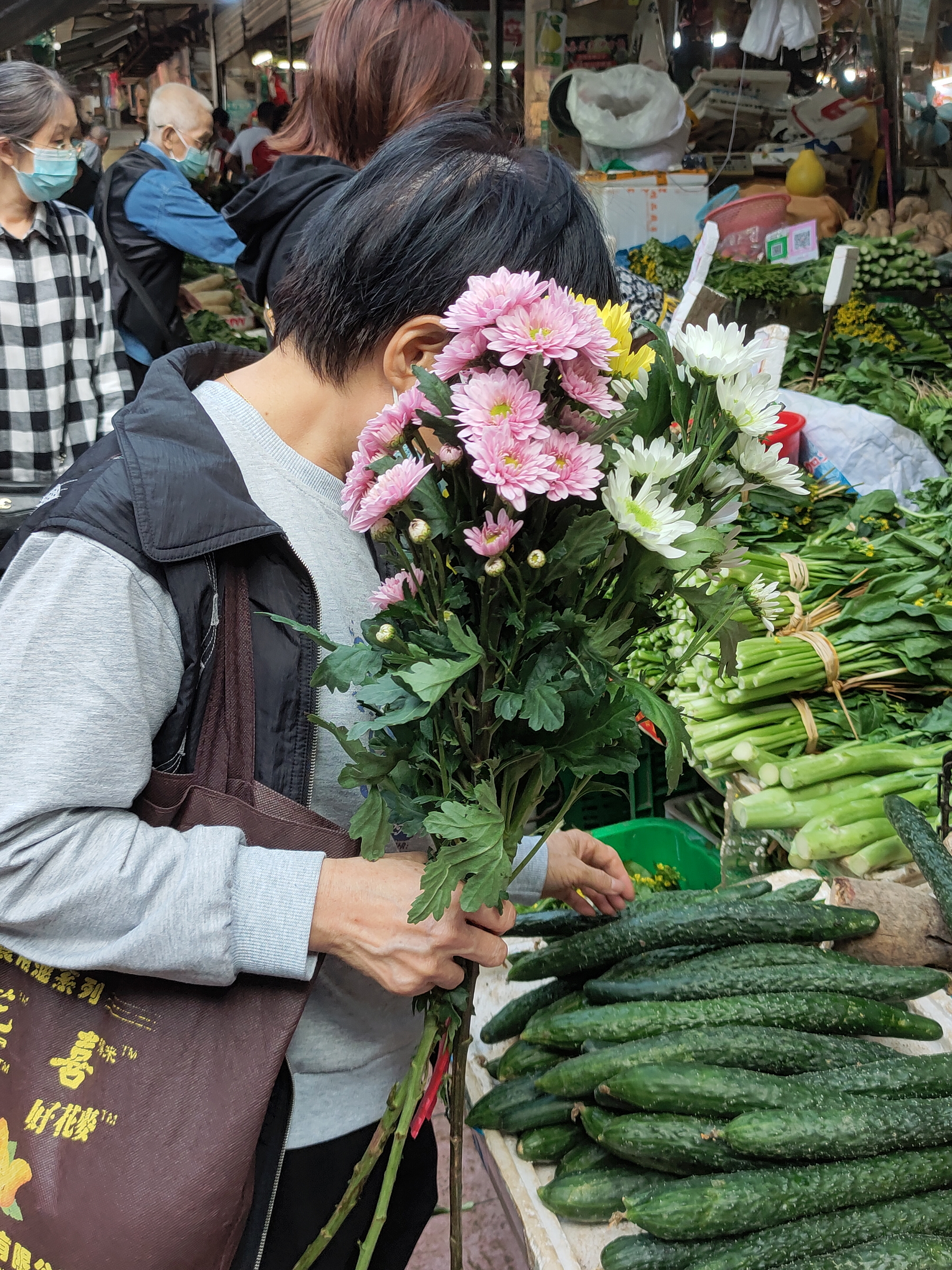 早晨，花城的花：菊花，月季，菜心花，茶花，佛手柑，新会柑。#广州# ​​​