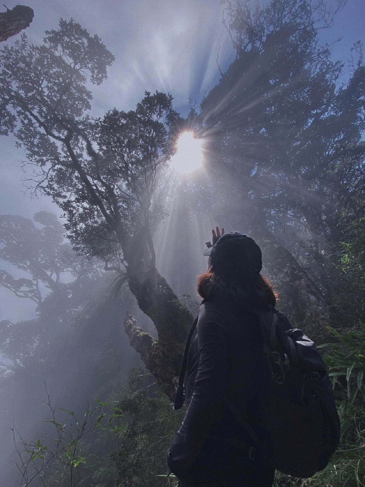 到达五指山主峰🧗