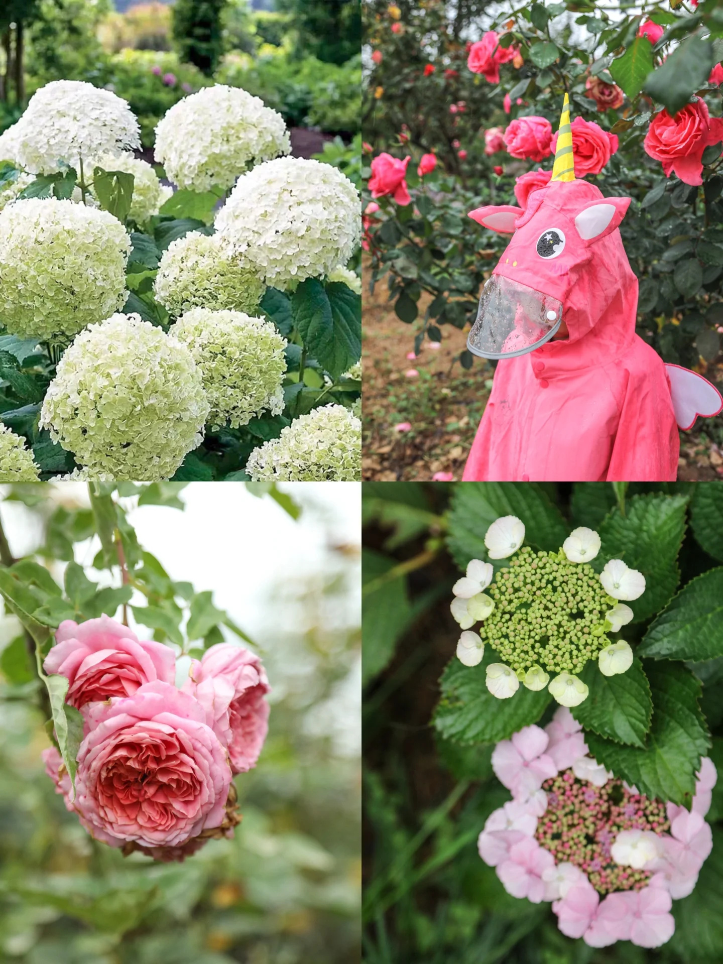 我宣布你的专属后花园在这里🍐｜溜娃日记