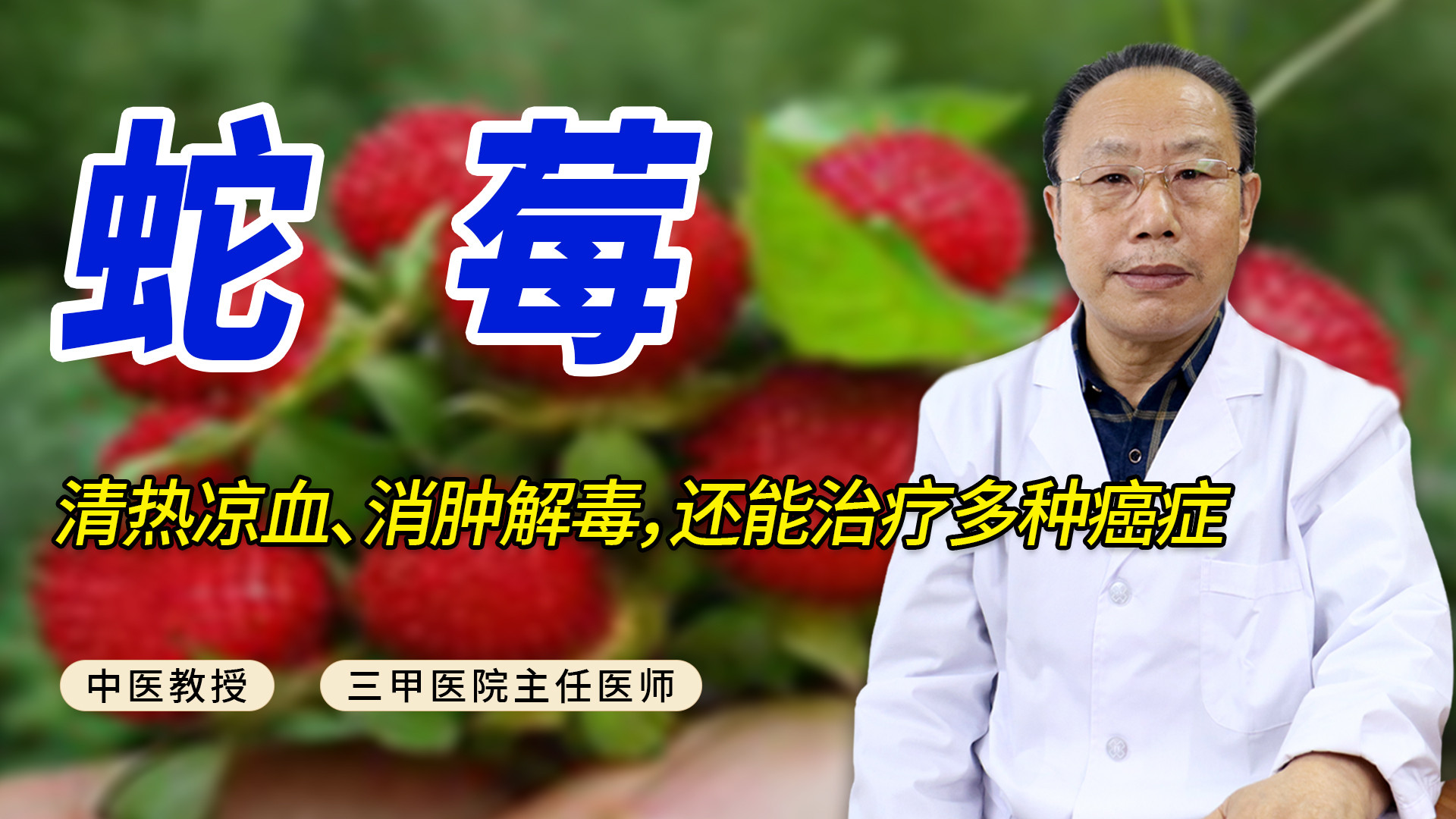 分享一味中药—蛇莓，清热凉血、消肿解毒，还能治疗多种癌症！#健康养生 #医学科普