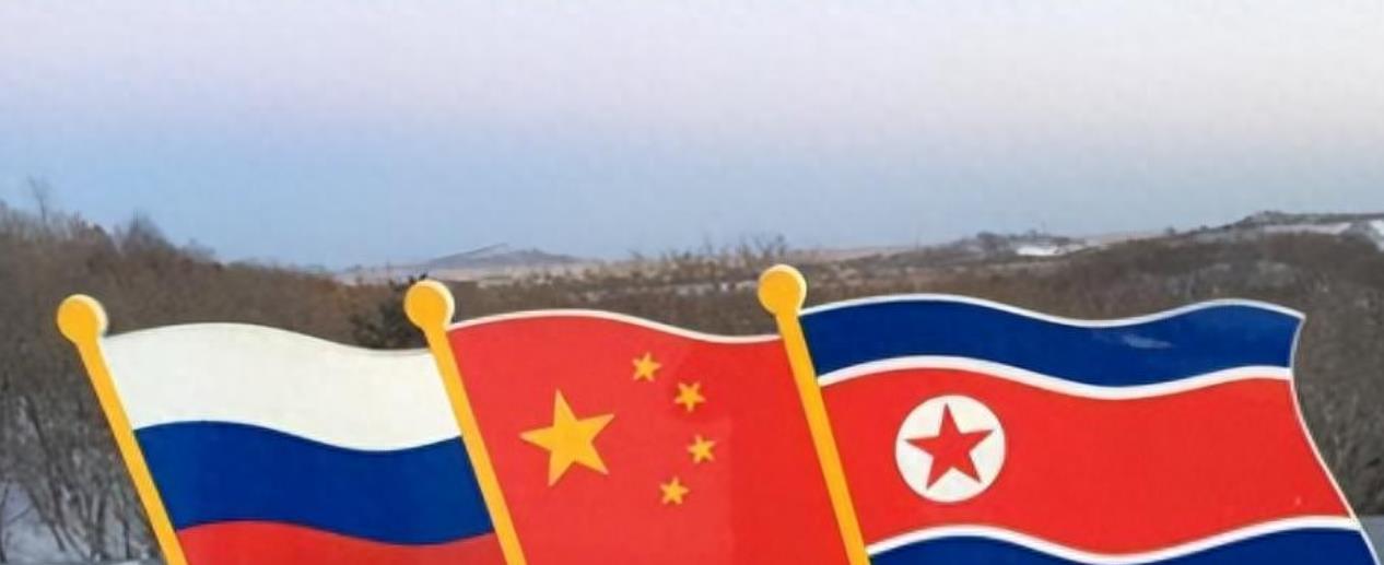 中俄朝联手，日本急了。
金正恩目前正在俄罗斯访问，与此同时，中国外长王毅也将对俄