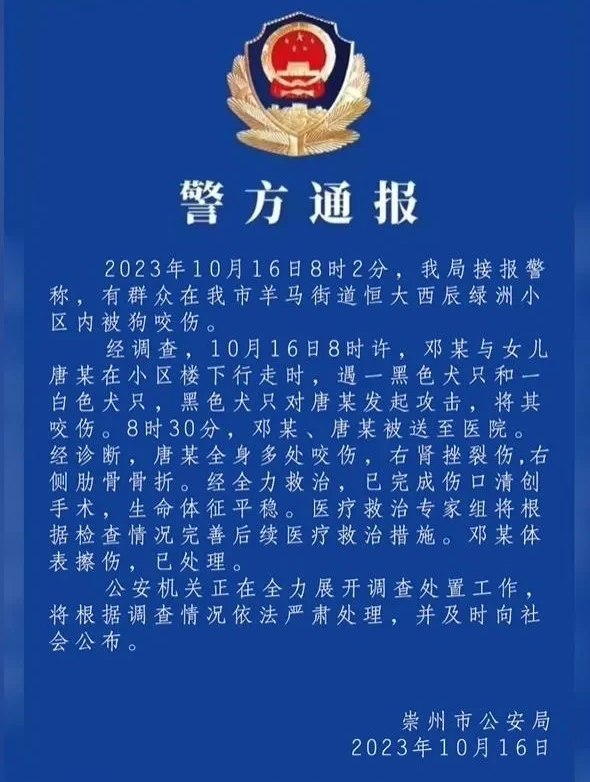 10月16日，四川成都一小区内，2岁小女孩被2只大狗咬伤，伤势严重，那么，狗主人
