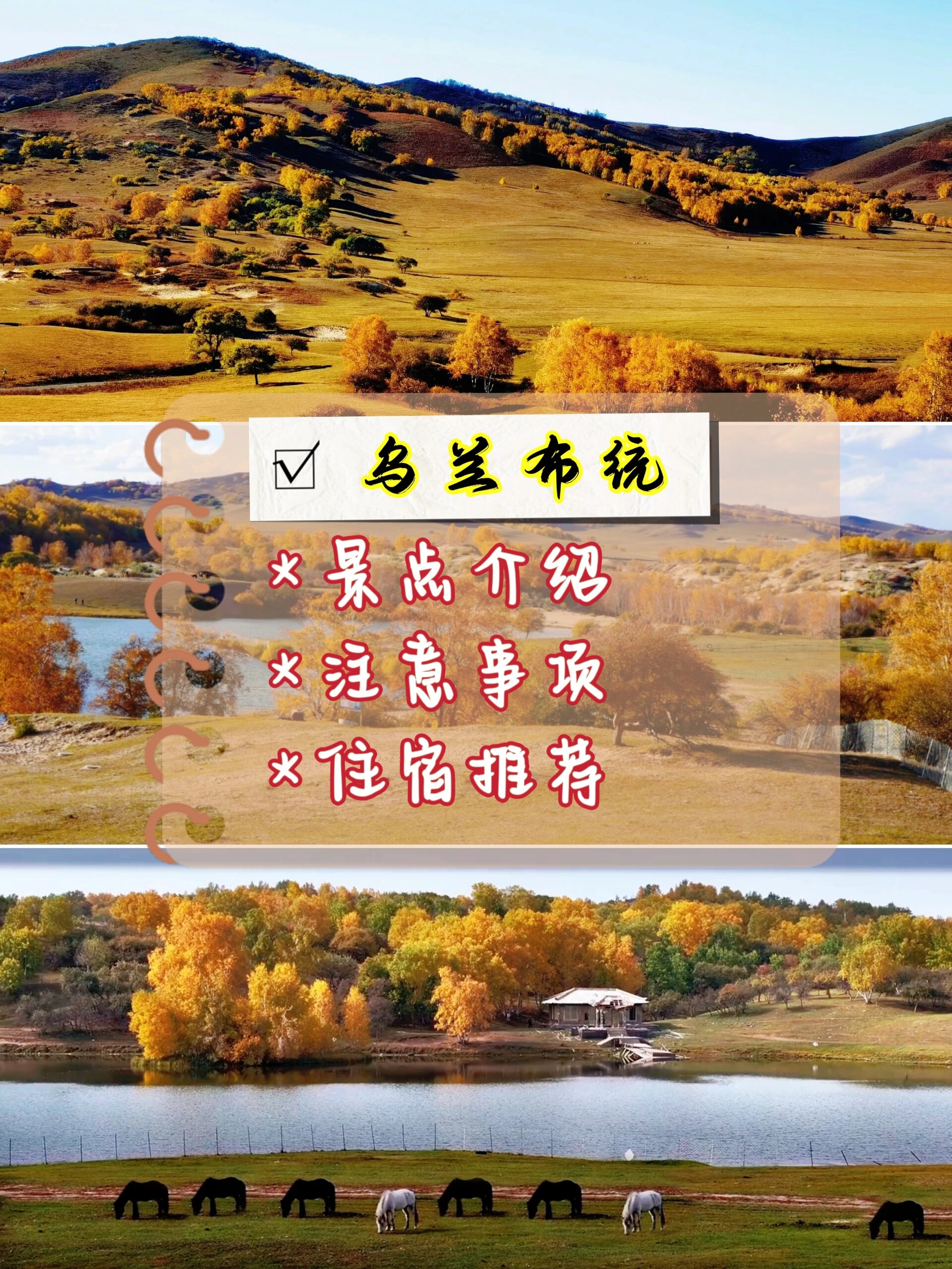 这里的美我都说腻了❗再不去就来不及了