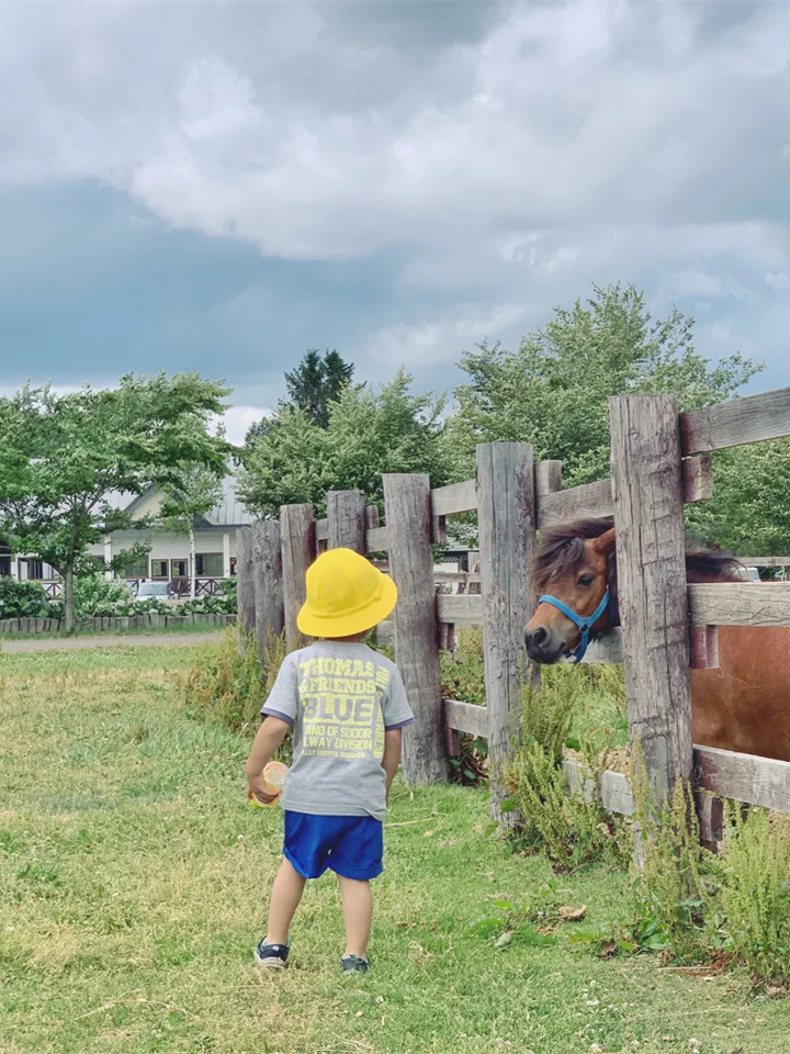 北海道亲子游❤️超多互动体验的千代田牧场
