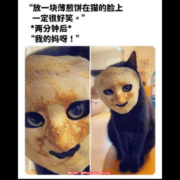 猫猫偷偷吓死你的概率很小，但不可能是0
