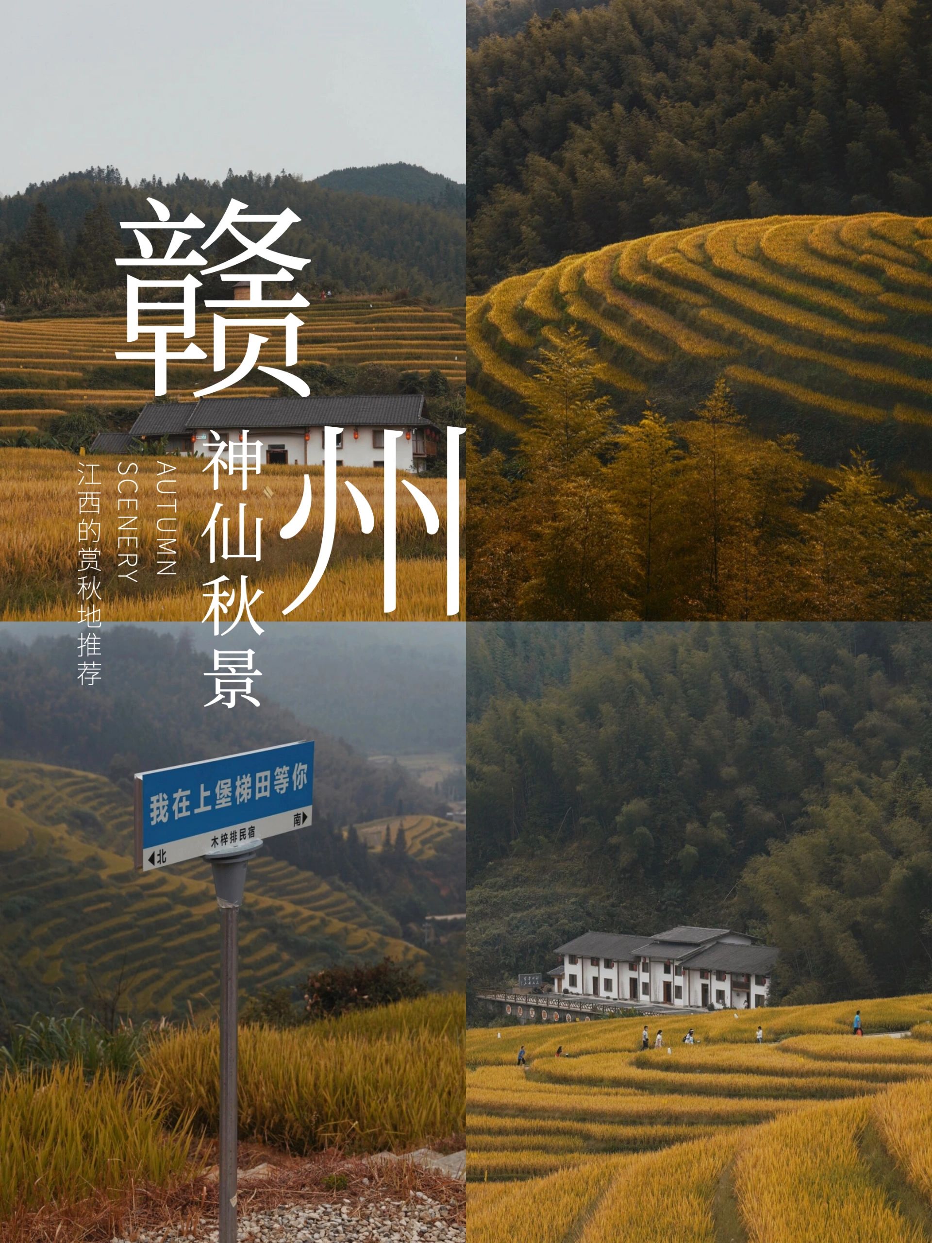 不比婺源差！赣州也有神仙秋景，藏在了这里