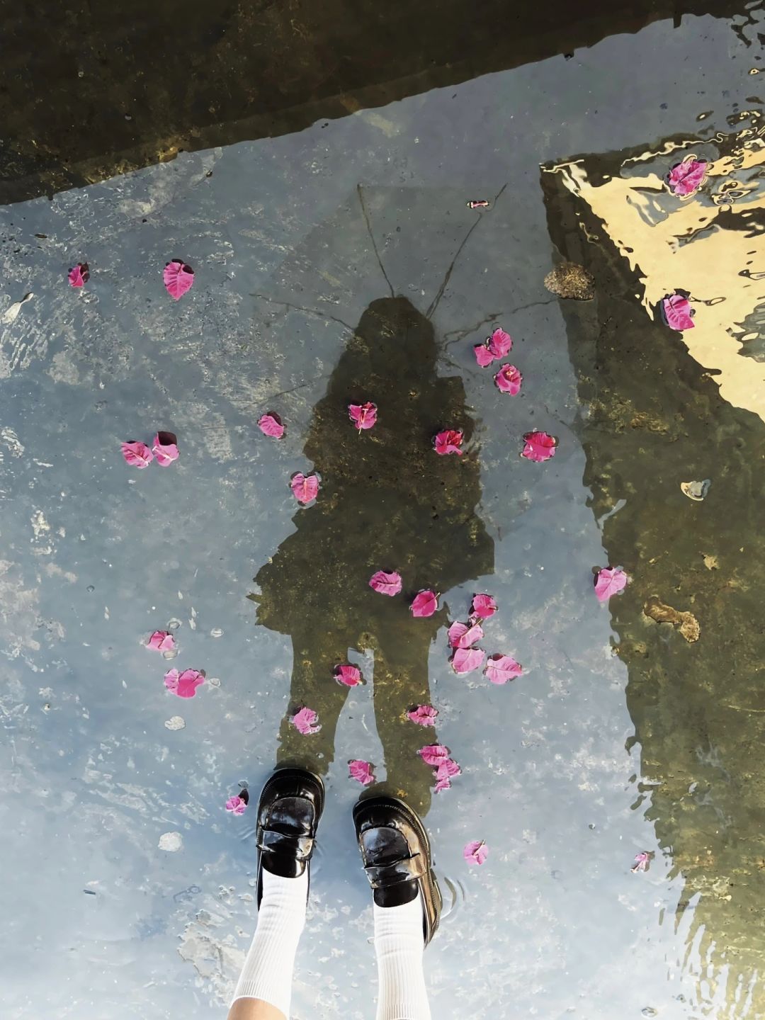 🌂·𝗥𝗮𝗶𝗻𝘆 𝗱𝗮𝘆