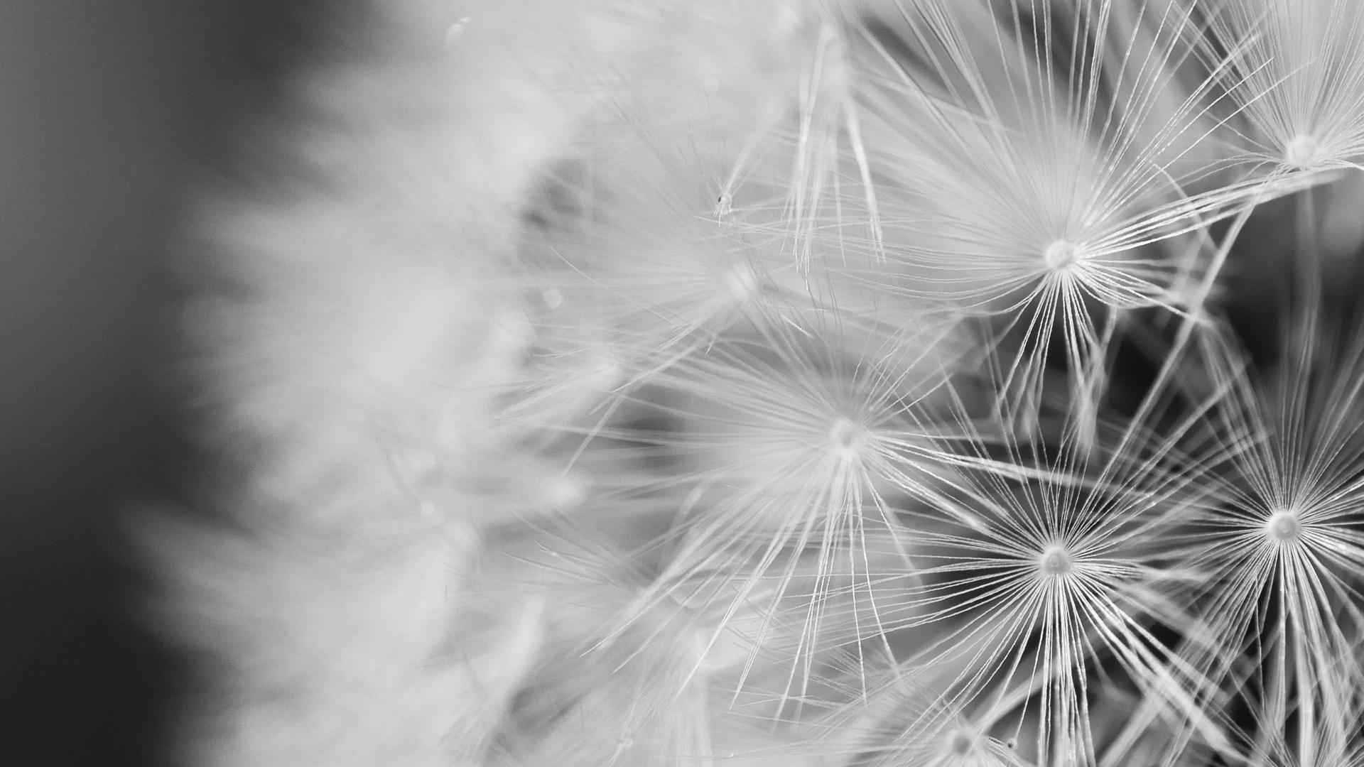 都「炸店」了，拼多多还在坚持什么？