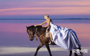 和亲公主孤身闯入蛮荒，周旋于暴君与逆子之间，猎手与猎物的身份究竟会发生怎样的变化……