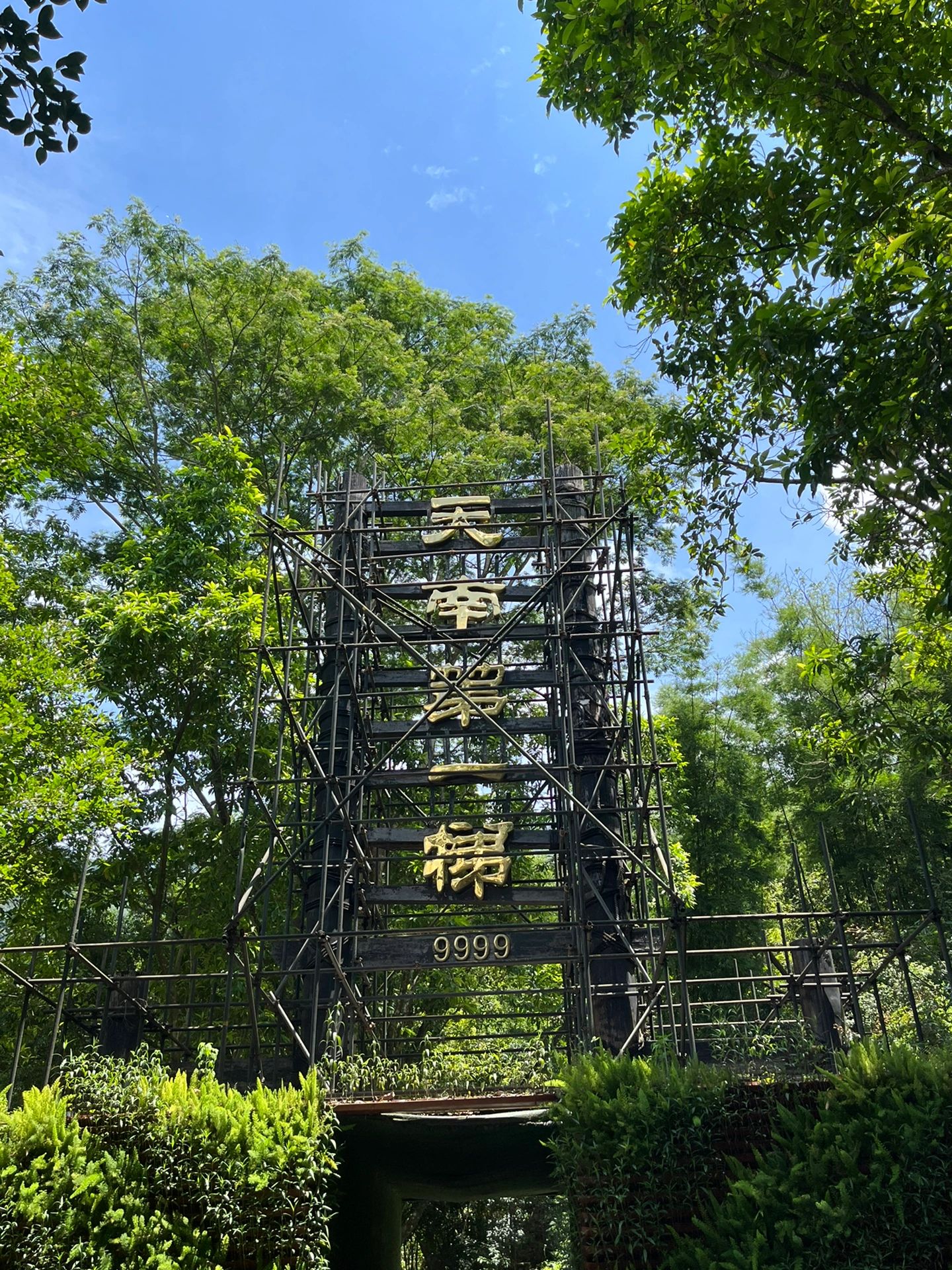 ❗️❗避暑胜地｜广州增城白水寨