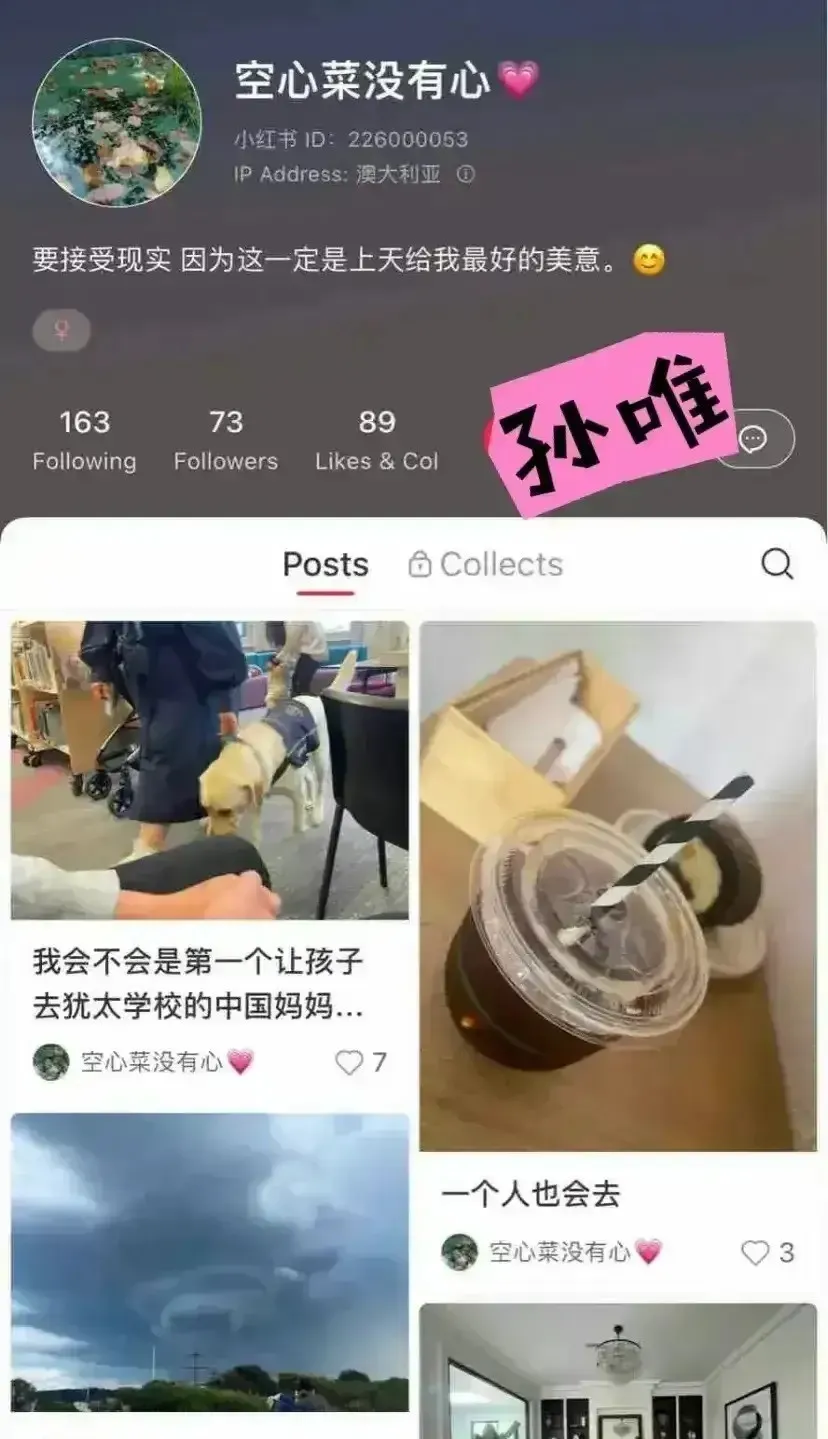 孙铊在美国遭遇华人社区的驱逐，无法继续停留，于是通过旅游签证逃往澳大利亚墨尔本，