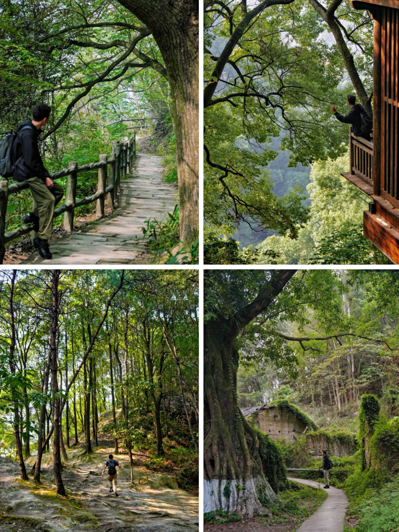 不藏了❗这七条治愈系徒步路线你必须知道