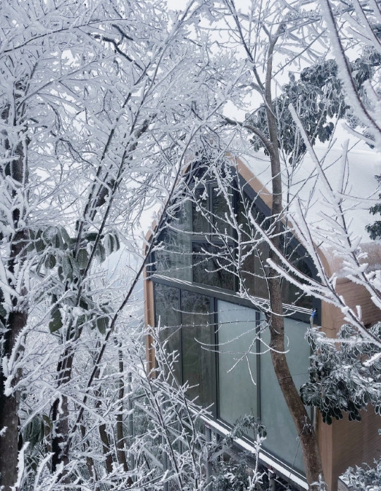 你带我在家乡赏雪，从此便期待每一个有你的冬天。随便抓一把雪，随手一张抓拍，随时一