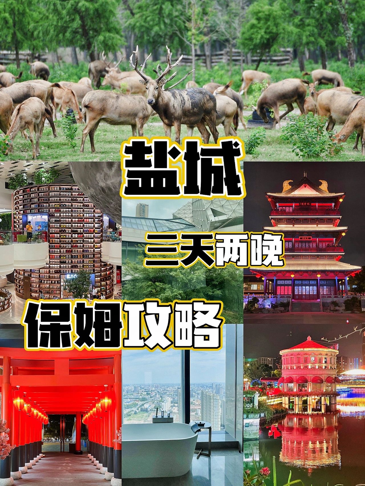 南京-盐城｜三天两晚保姆攻略