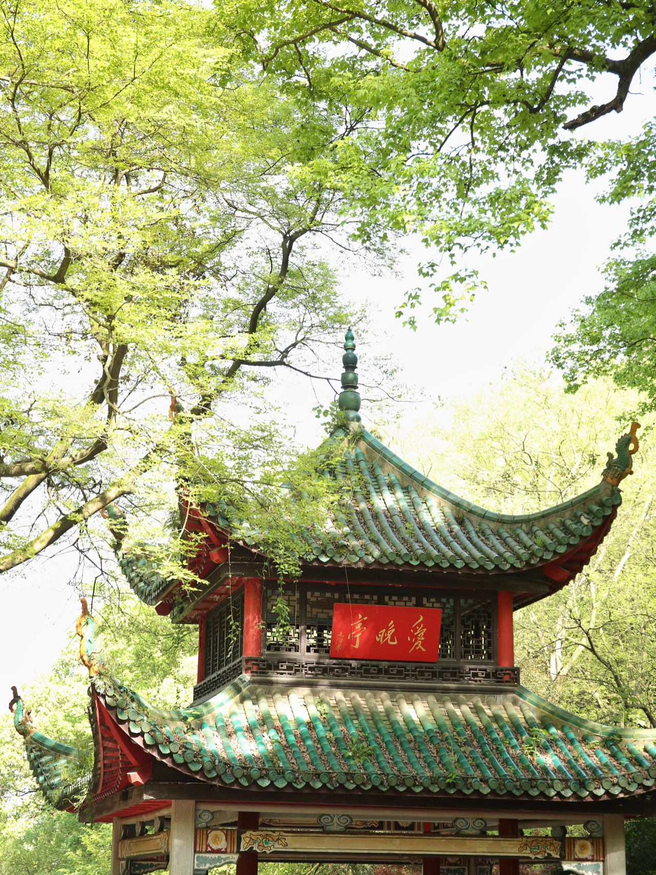 长沙旅行｜为爱晚亭而登岳麓山，拍照超好看