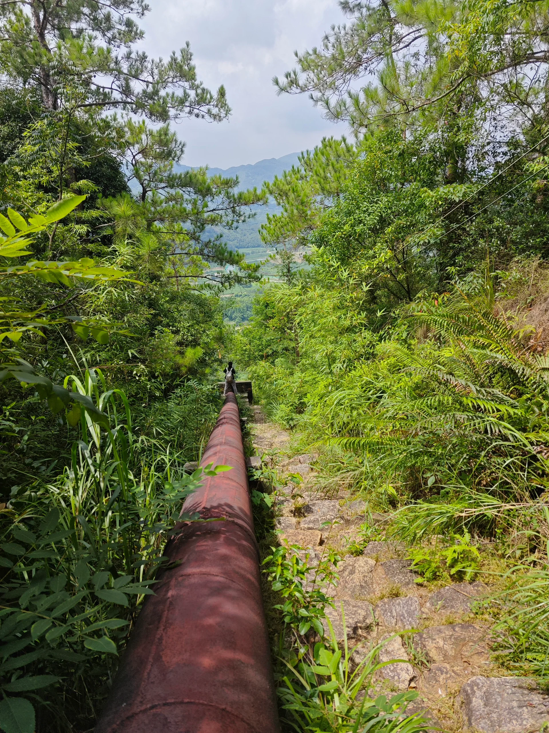 每周一山｜牛牯嶂