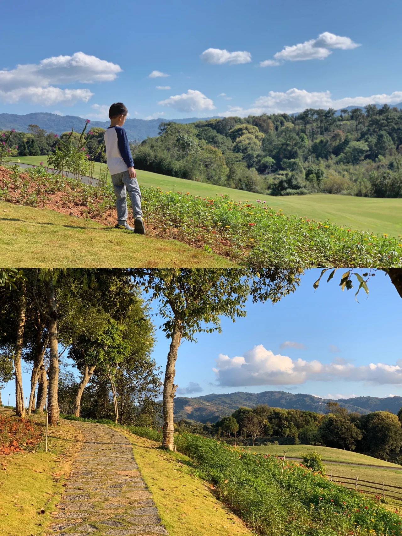 西双版纳的后花园｜温泉、花海、孔雀