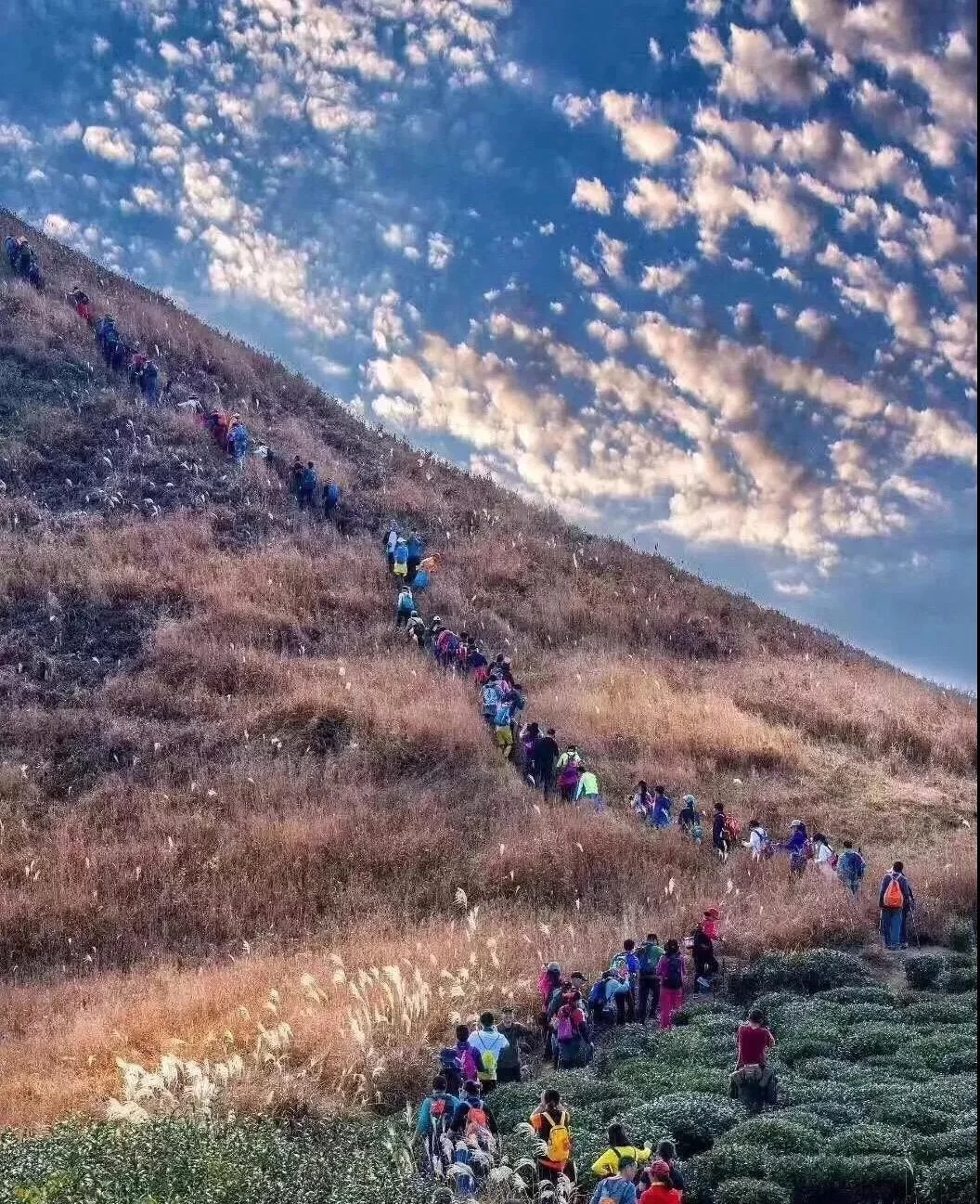 【孙家岭古道】周末出来上海周边徒步啦！