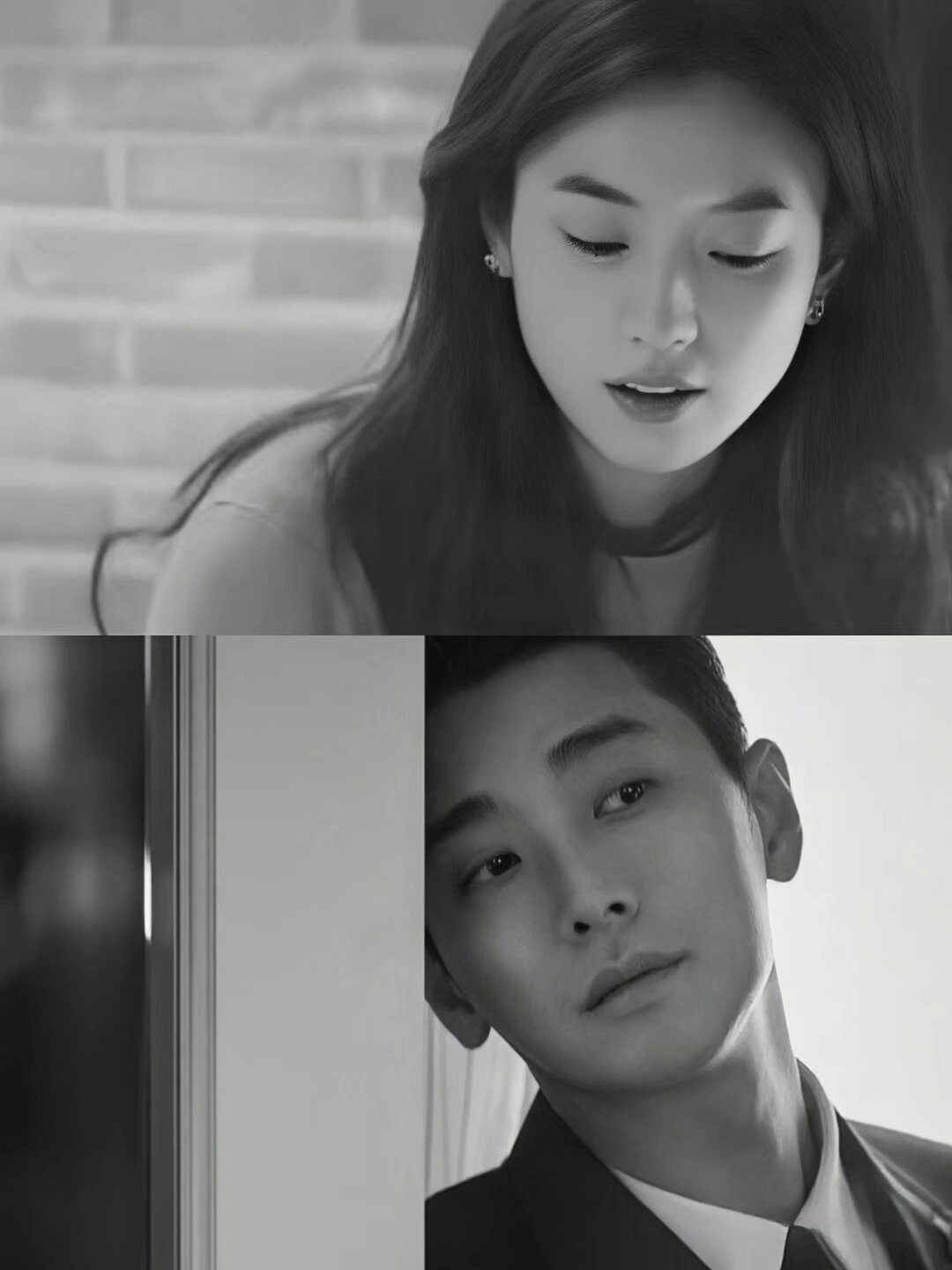 好剧推荐《支配物种》