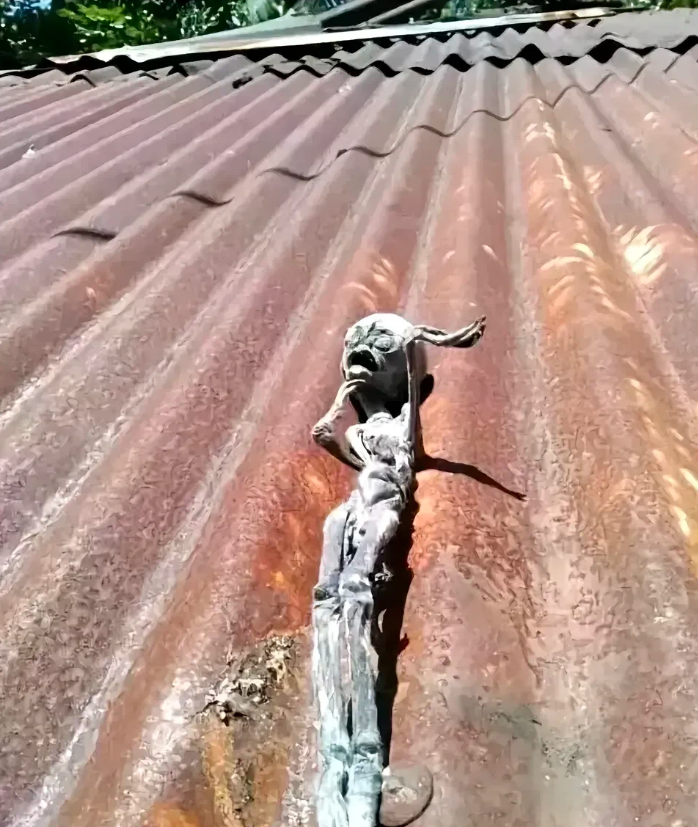 捡到外星人一昧，有没有需要的？
