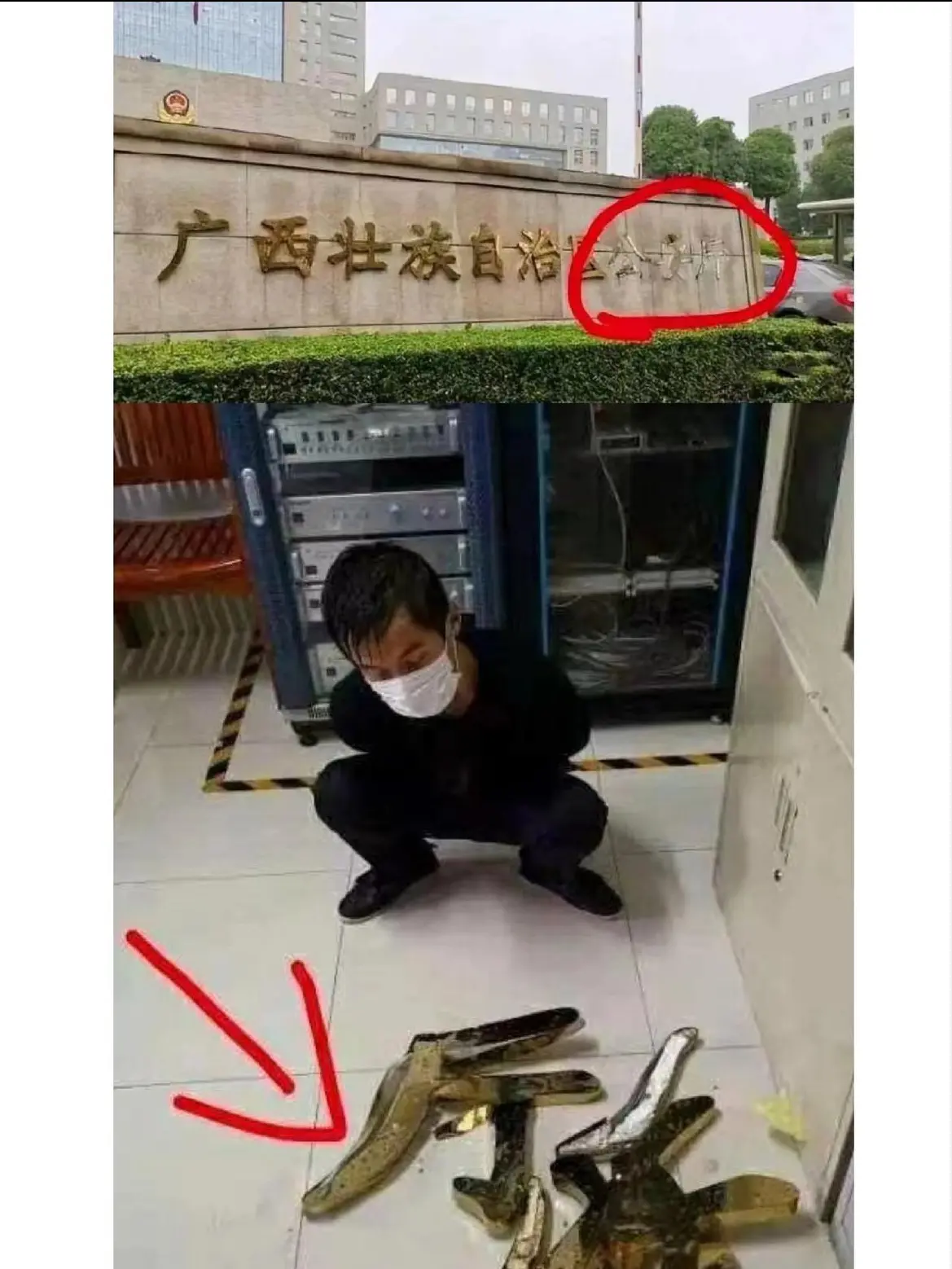 见过胆大的，没见过这么胆大的