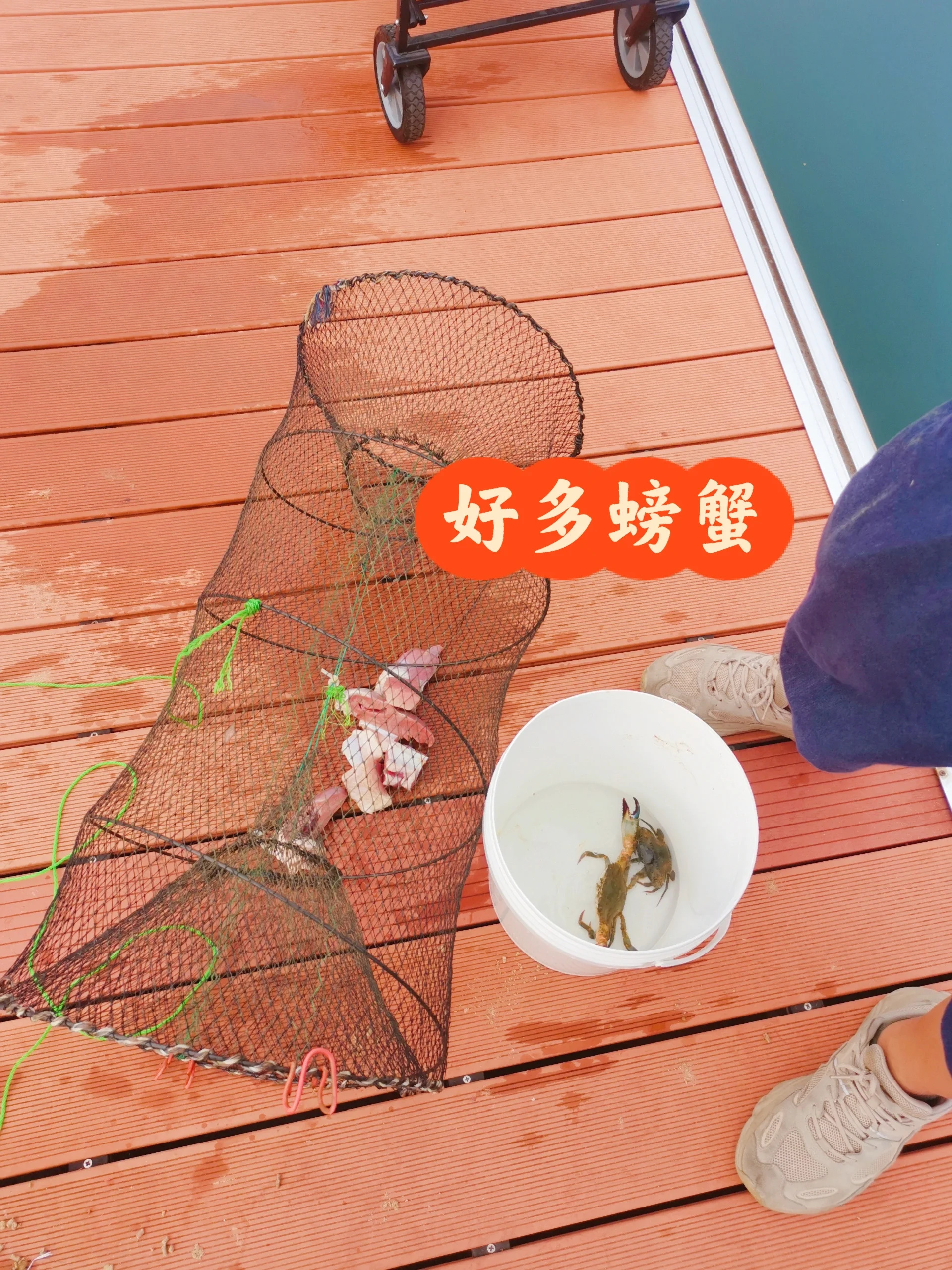 深圳人必玩，海钓、钓鱼、抓螃蟹