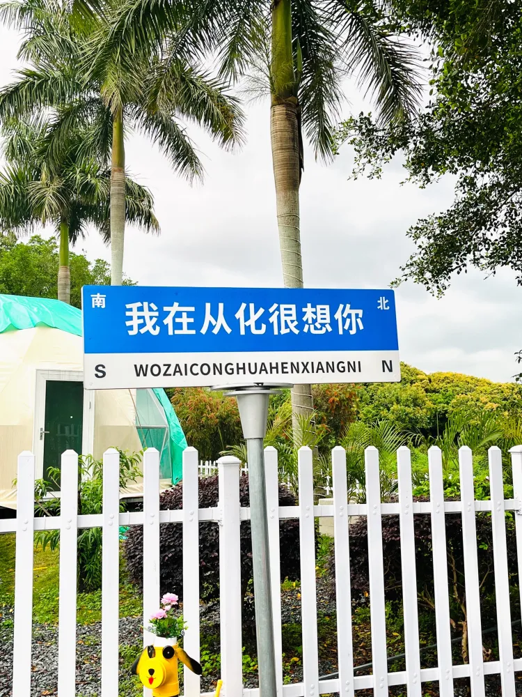 刷爆朋友圈好玩又不贵的网红公园
