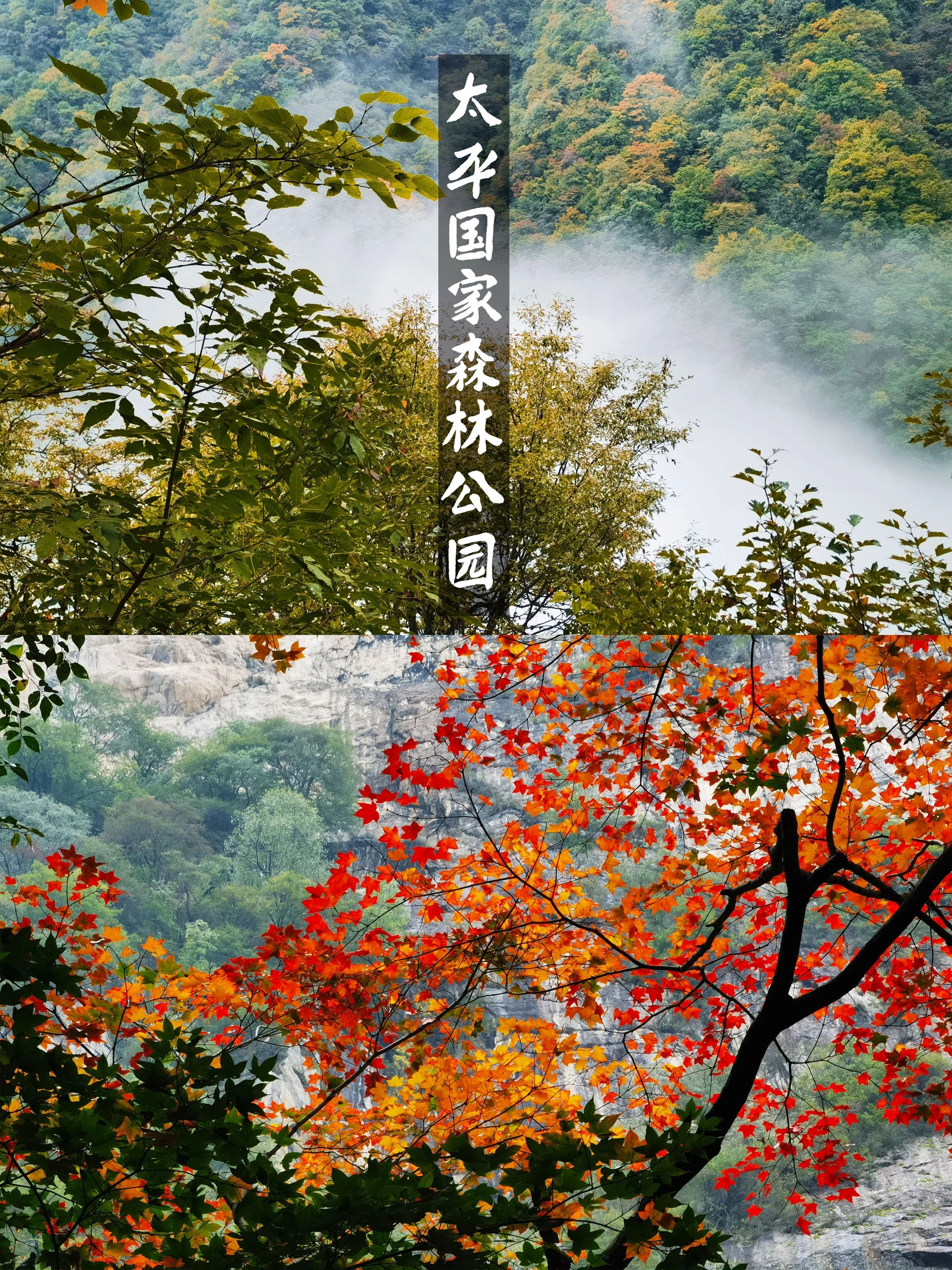 西安周边5个赏秋打卡地，惊艳整个朋友圈