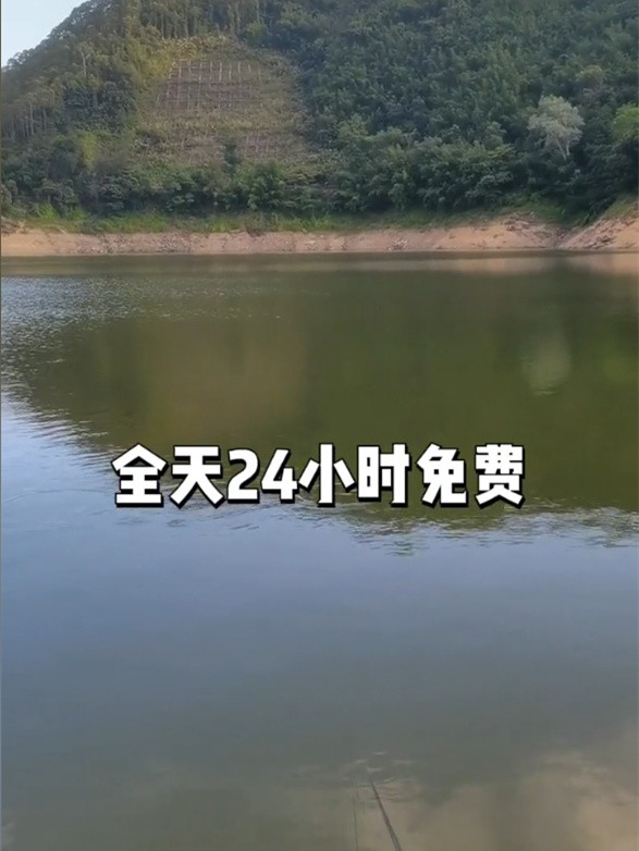 佛山钓点分享 #佛山免费钓点 #佛山野钓