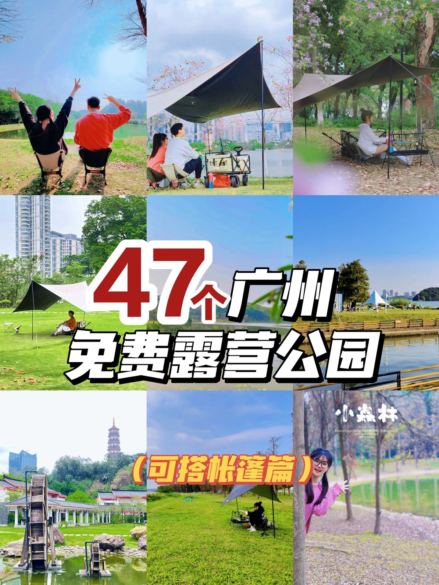 广州必去的47个露营圣地统统免费