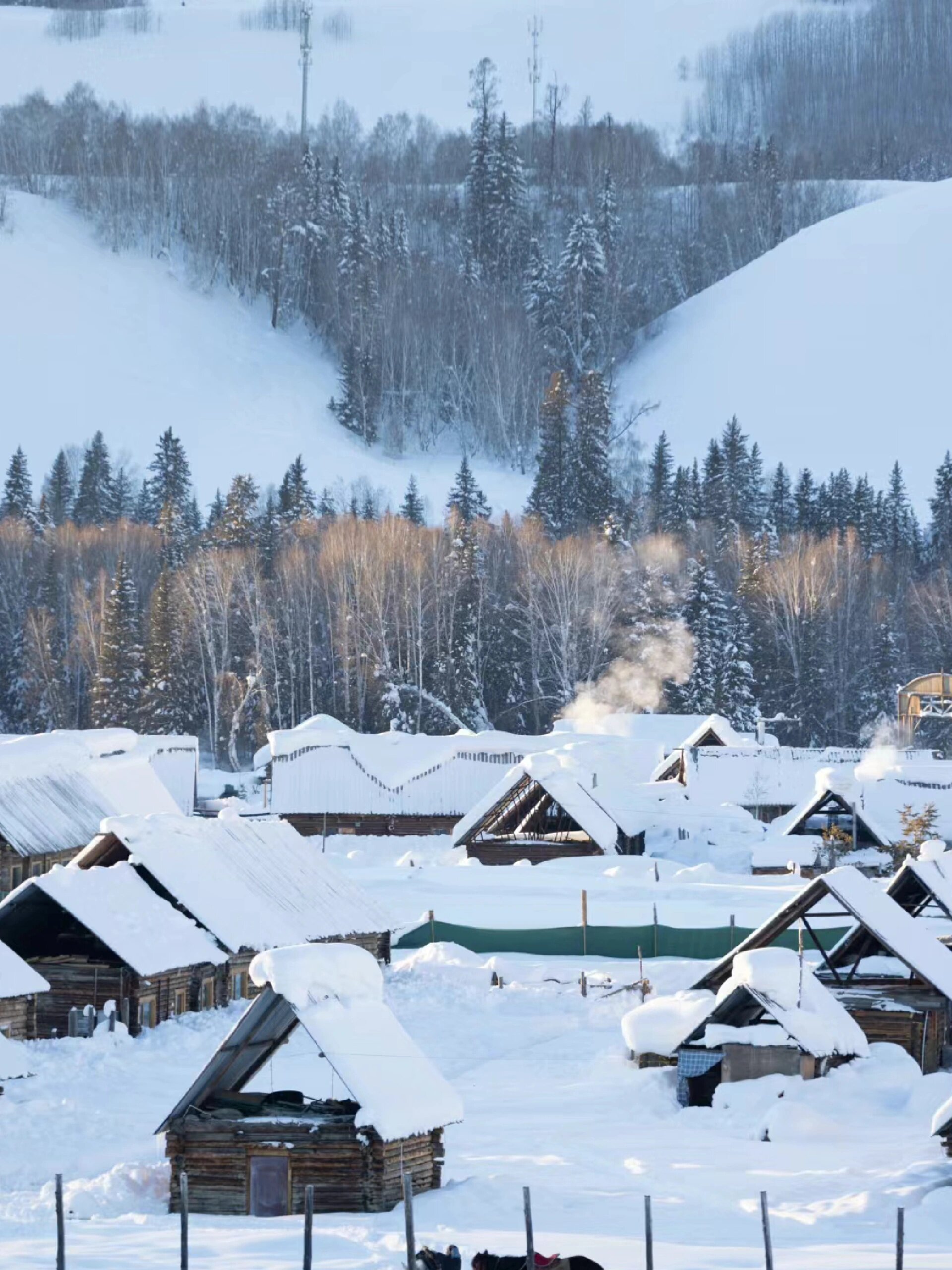 去不了北海道，就去新疆阿勒泰吧😘😘
