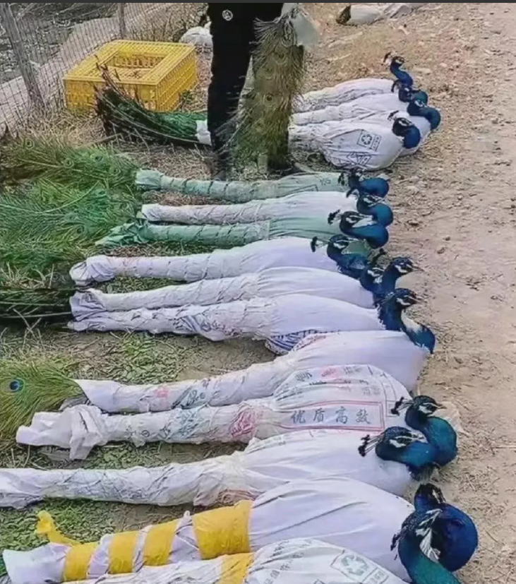 有没有第一眼看错