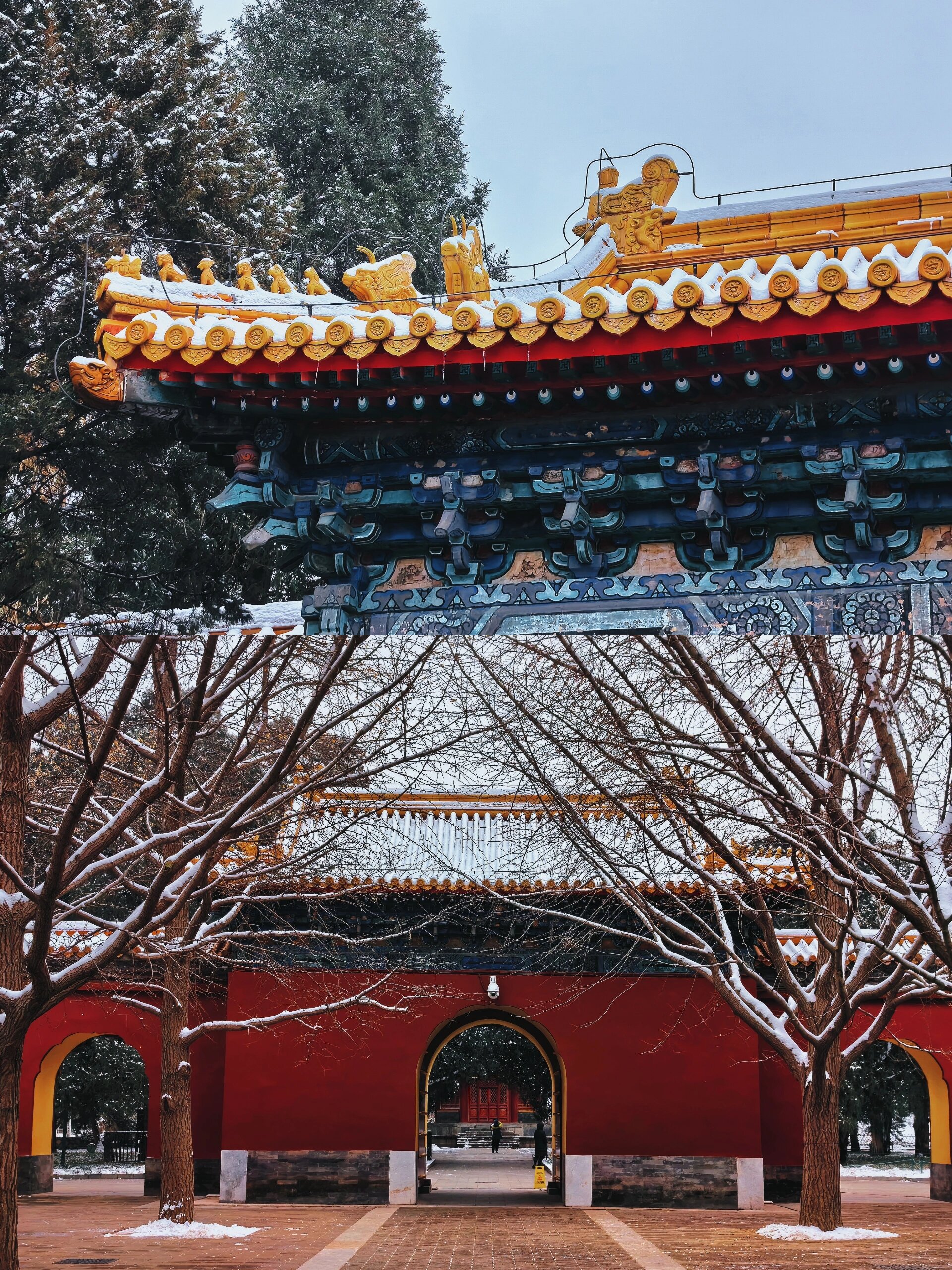 北京冬季攻略|中山公园赏雪品茶