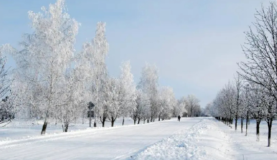 雪花如诗，雪景如画。雪的姿态千变万化，飘逸而悠扬，宛如一场视觉的盛宴。
雪的世界