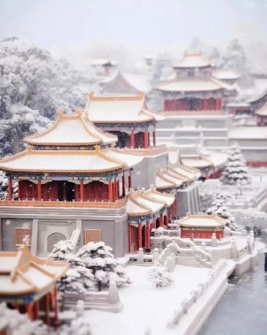 我喜爱的中国文化，故宫博物院雪景❤️ ​