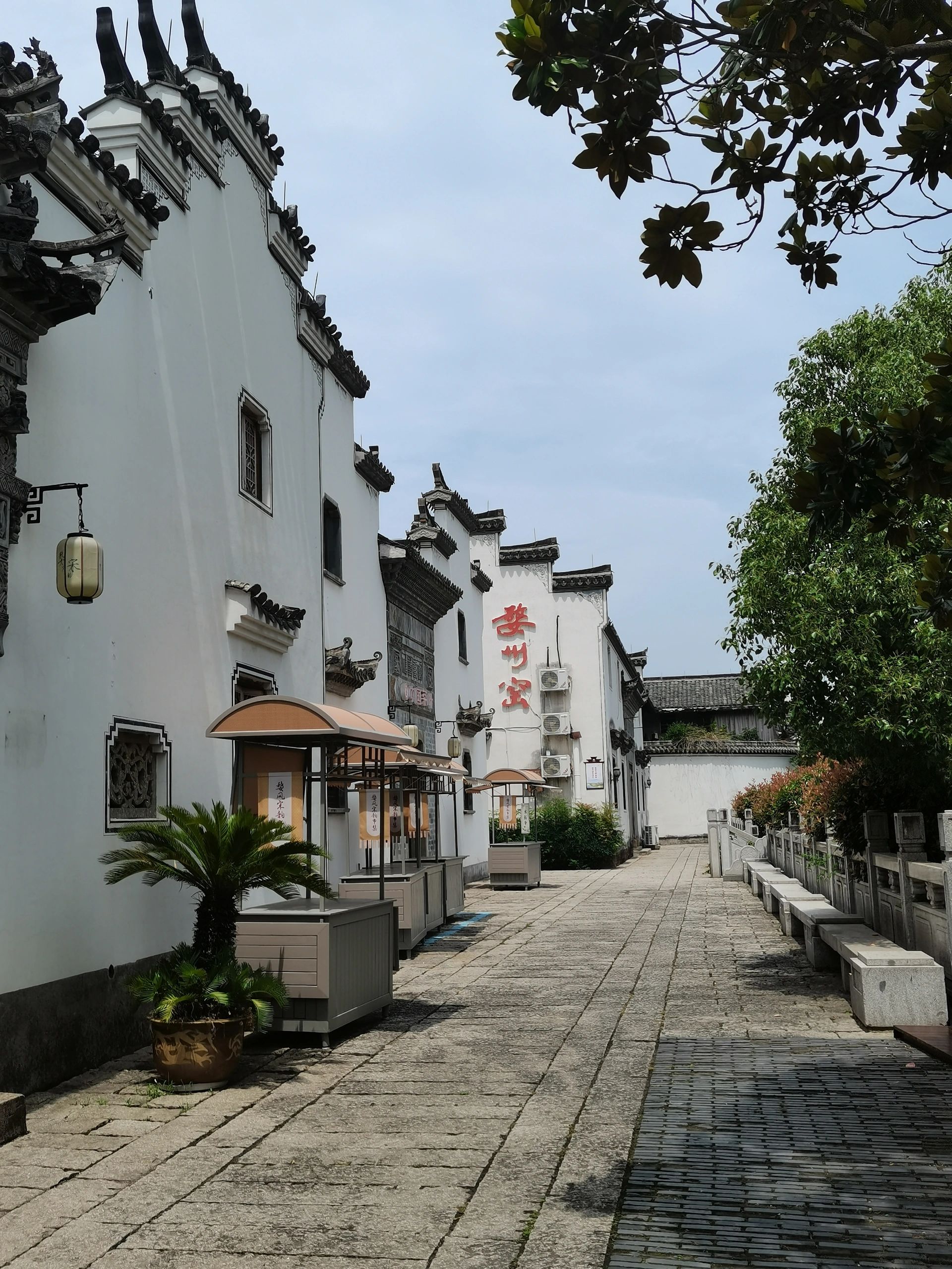 听说来金华旅游会被嘲笑