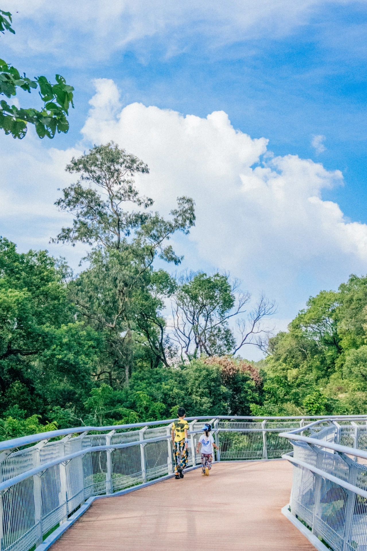 一个人的轻徒步|城市森林-广州云道