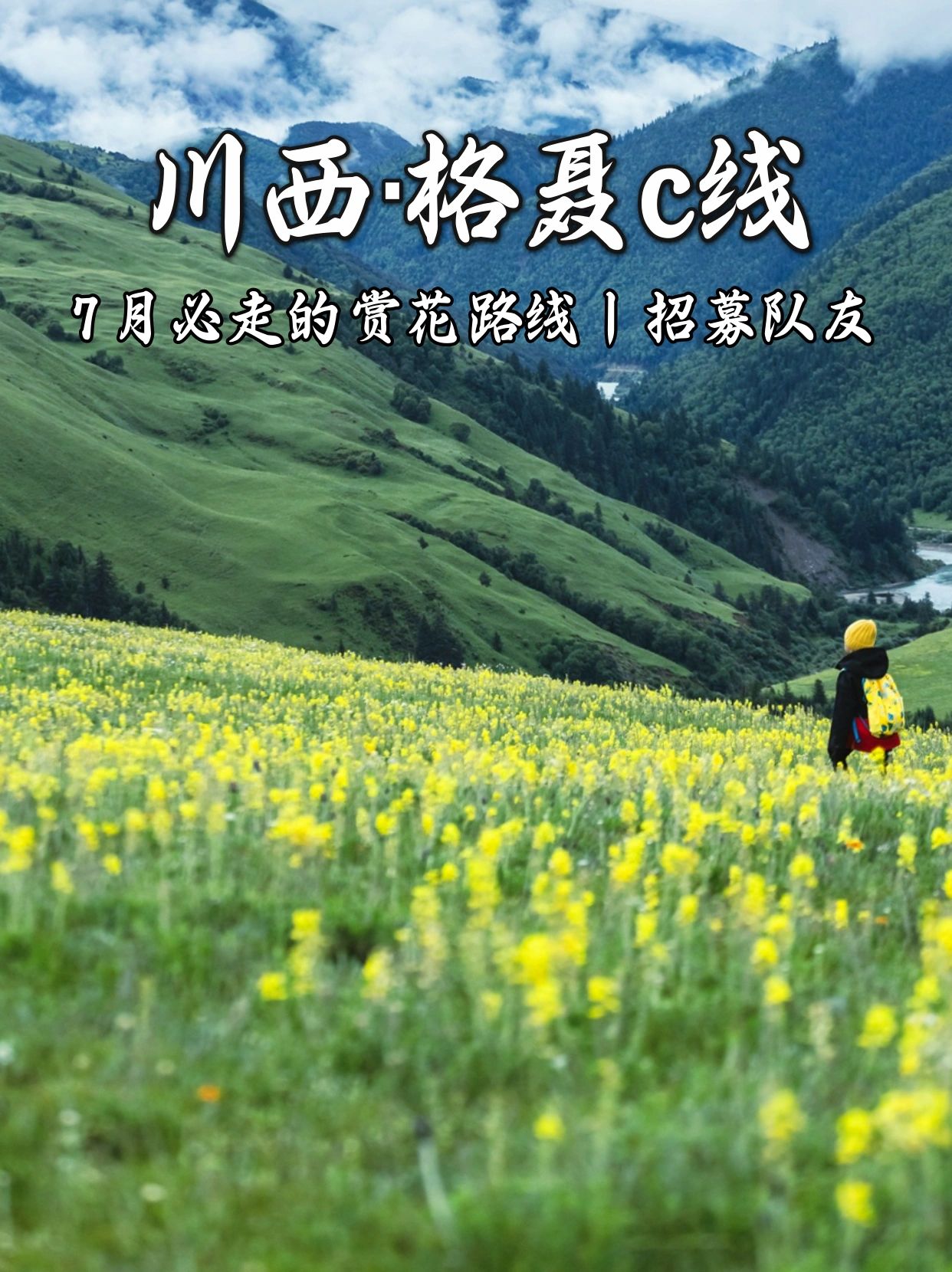 去格聂c线，这里有史诗级花海