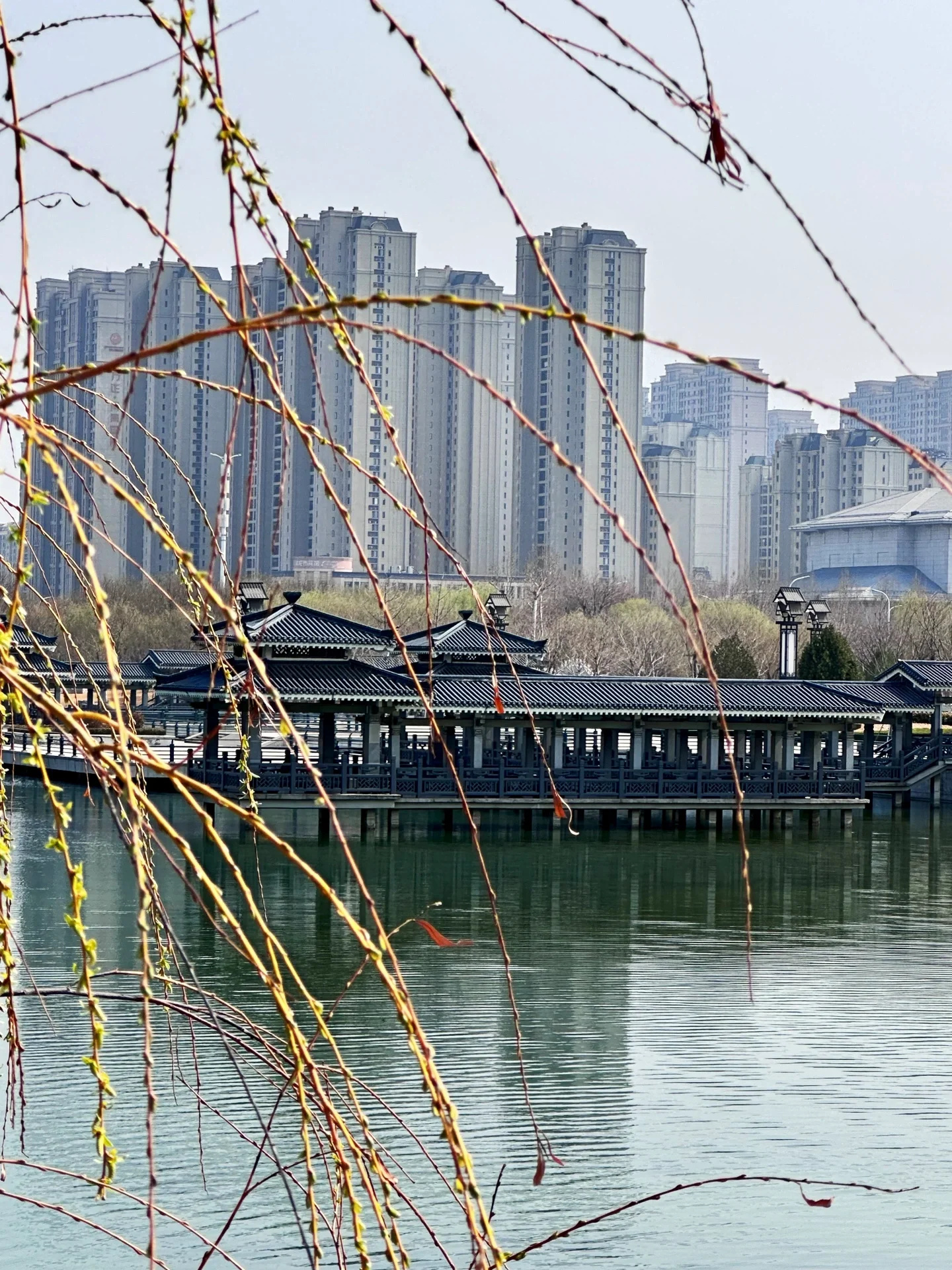 淄博慢旅行🧳省内两日游｜美食 景点推荐