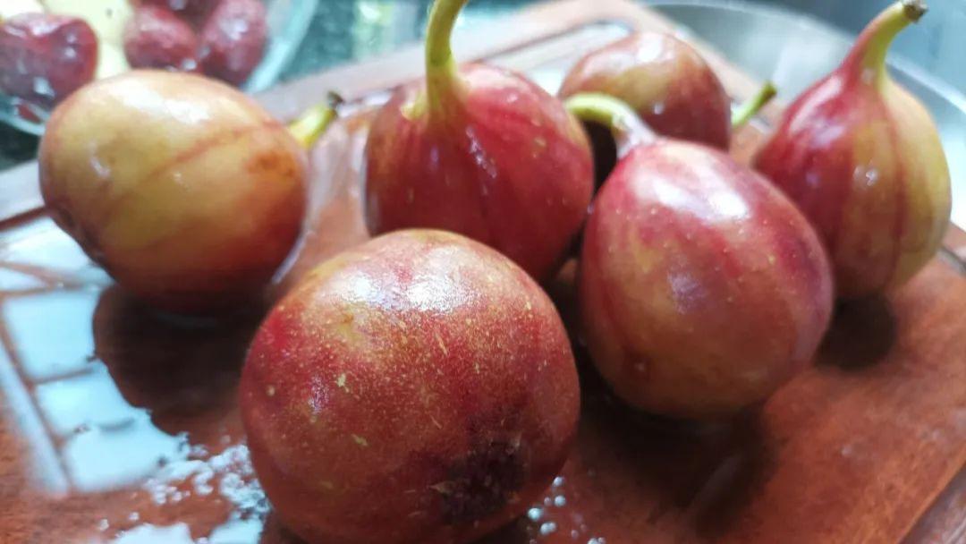 海鸥岛的无花果熟了！广州人秋天都爱吃！与鸡肉同煮味道鲜美