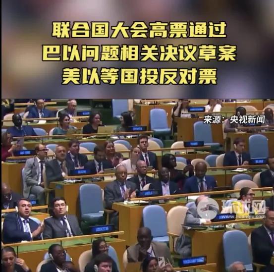 巴勒斯坦说：我想要和平，要救平民。
兔子说：我同意   大毛说：我同意
美国和以