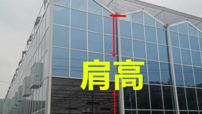 温室行业科普：跨度、开间、肩高，这些到底是什么意思？一文搞定