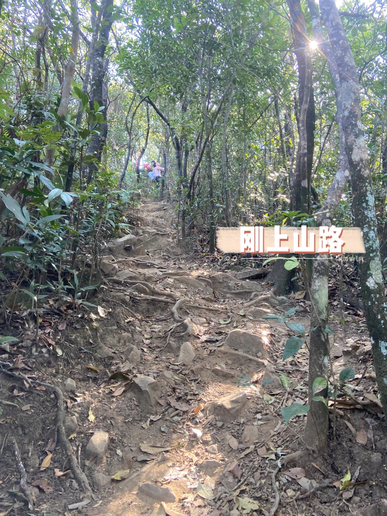广州第一峰天堂顶−爬山徒步攻略🧗‍♂️