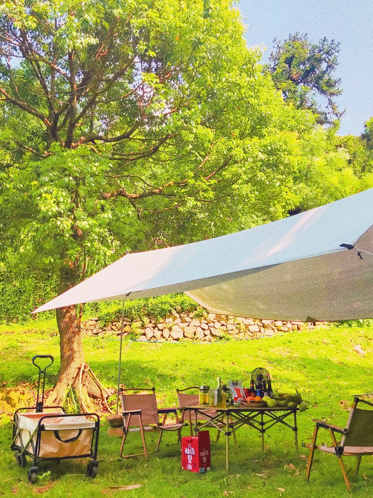 🌴安静的露营地丨森林的空气真的超级好！