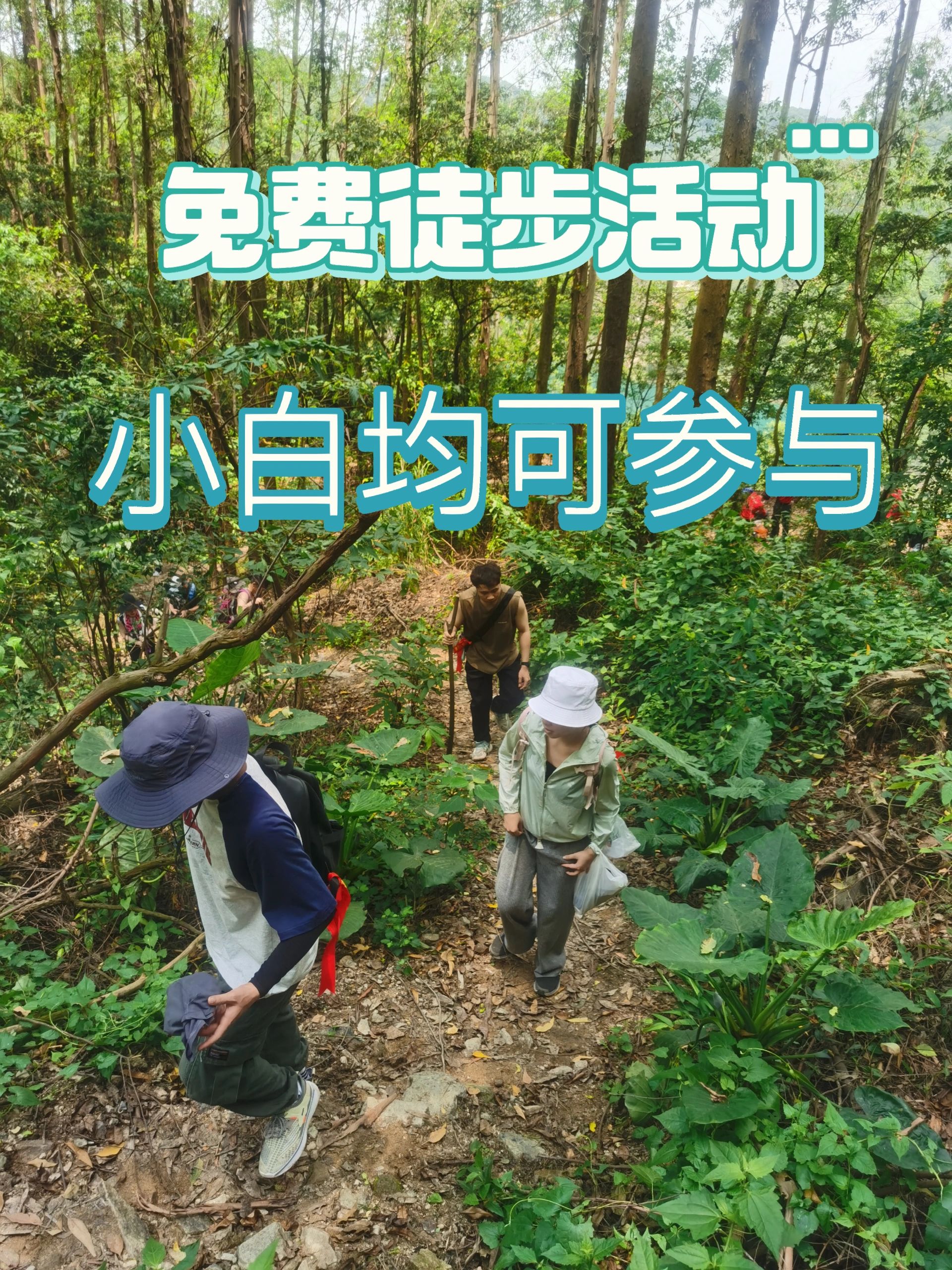 徒步招募👣出发，广州市内最美徒步线