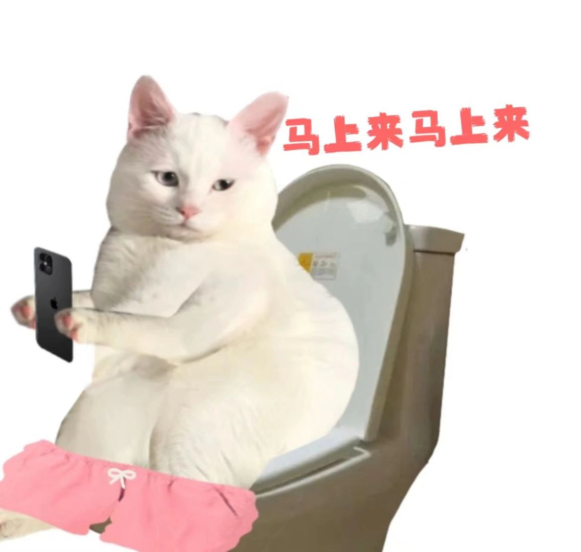 第一批回家的i人，实现厕所看春晚
谁懂全家在一起看春晚 对于一个i人是多么大的考