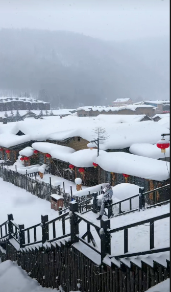 雪乡真的美，东北没以前冷了，感觉这几年都不怎么下雪了，现在想随时看到这样的雪景还