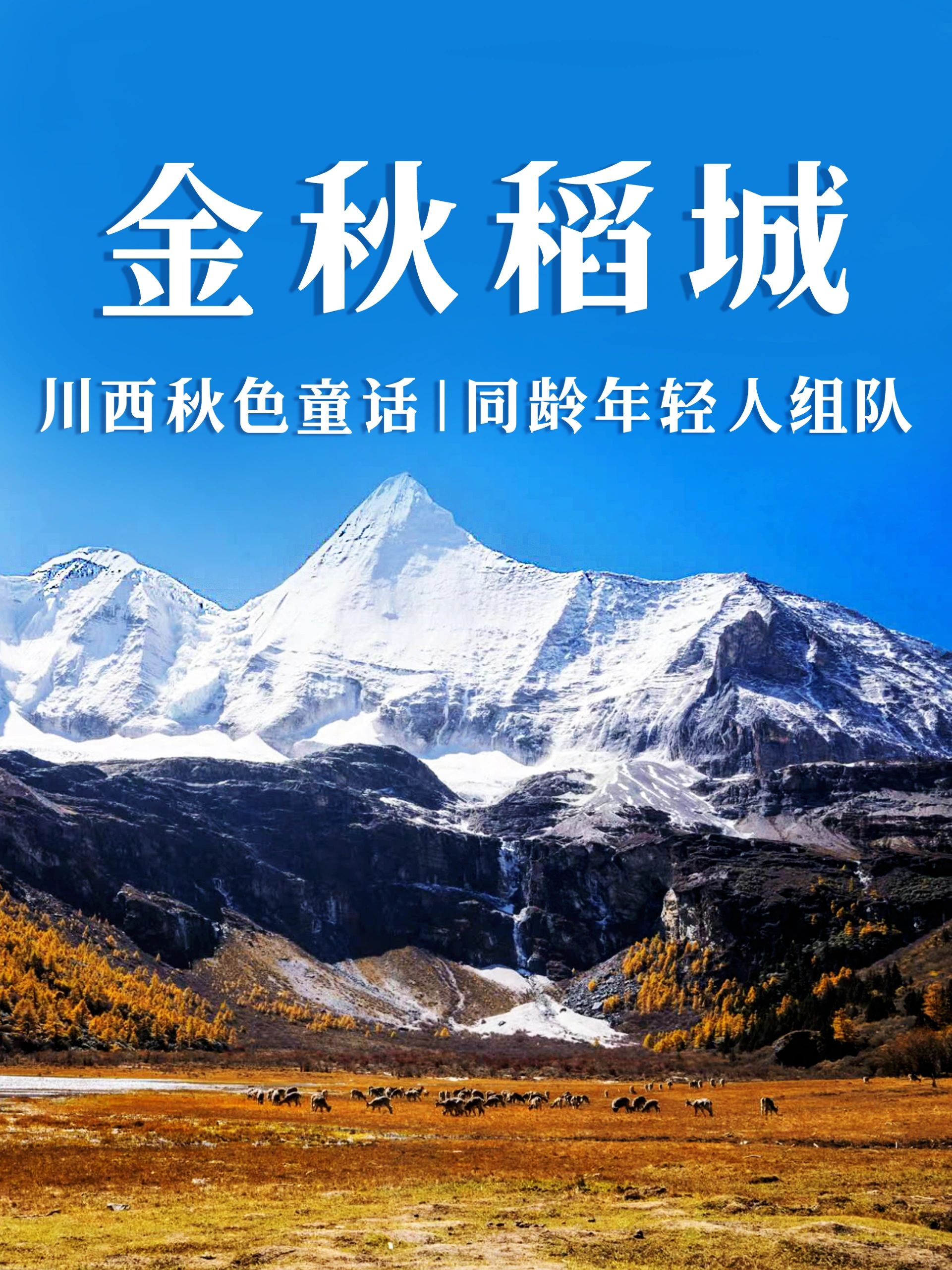 11月的稻城亚丁才是川西最美秋色
