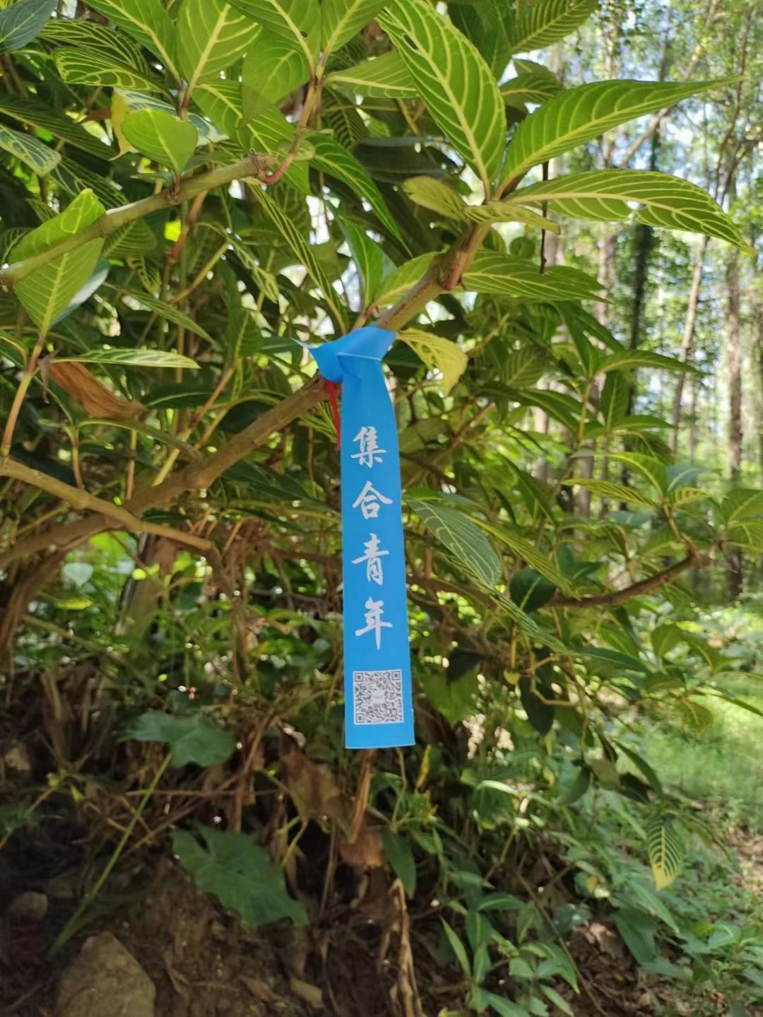 最适合小白入门的徒步线路，还有人没去过？
